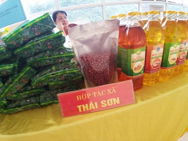 HTX-Thai-Son-3924-1589249084.jpg
