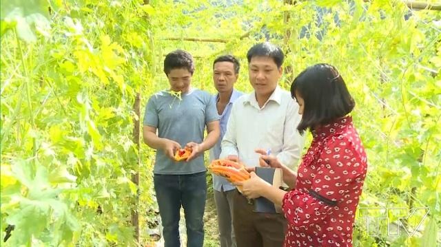 Hiệu quả từ Chương trình đưa cử nhân về làm cán bộ HTX