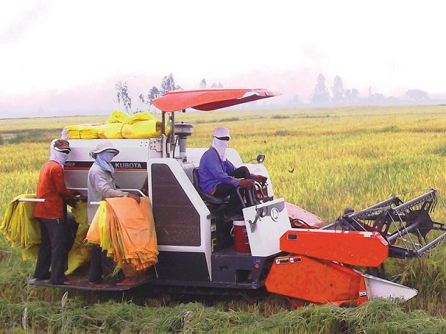 HTX Long Thành: Xây dựng mô hình sản xuất VietGAP bảo đảm ATLĐ