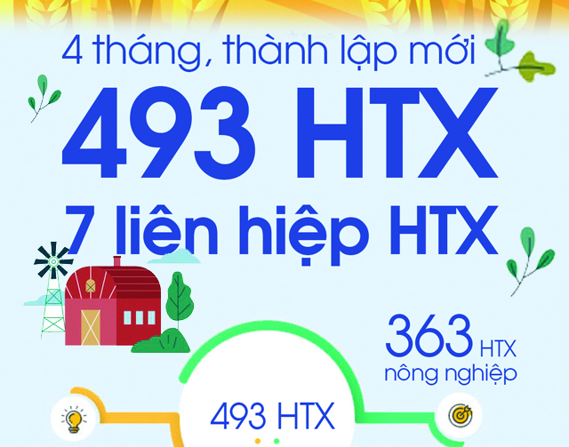 Thành lập mới 493 HTX và 7 liên hiệp HTX trong 4 tháng