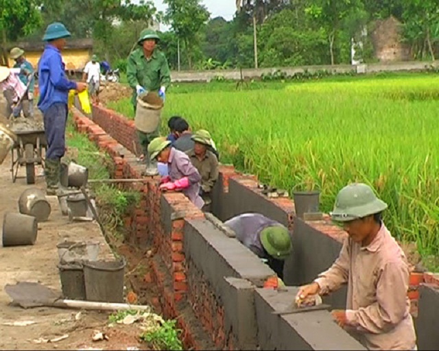 Cần thêm 'đòn bẩy' cho HTX chuyên ngành xây dựng