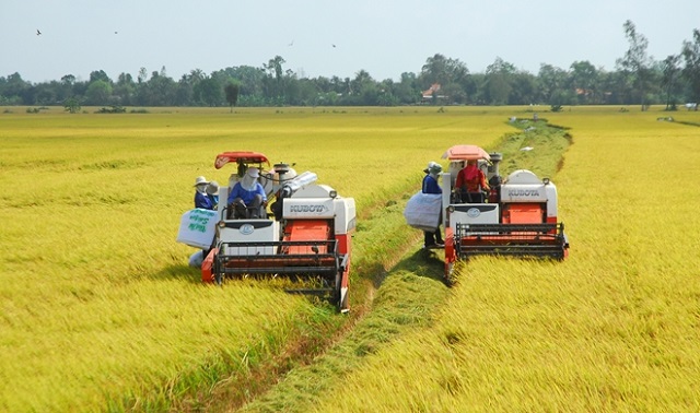 HTX thành công từ áp dụng khoa học công nghệ vào sản xuất