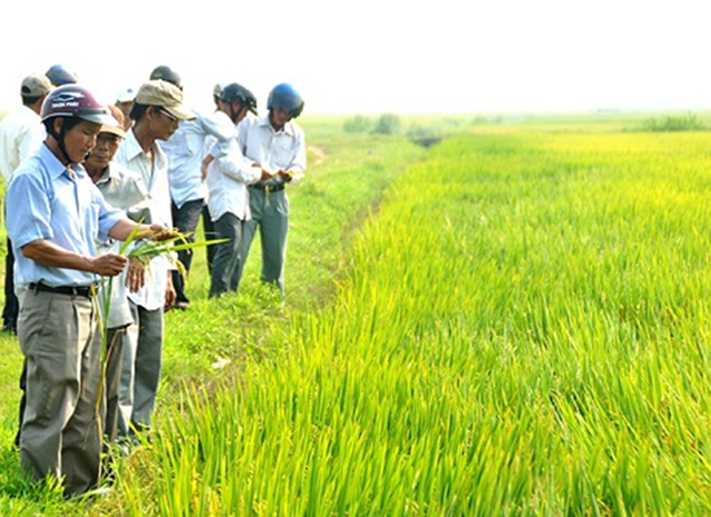Thừa Thiên Huế: Hướng tới mô hình nông nghiệp công nghệ cao và bền vững