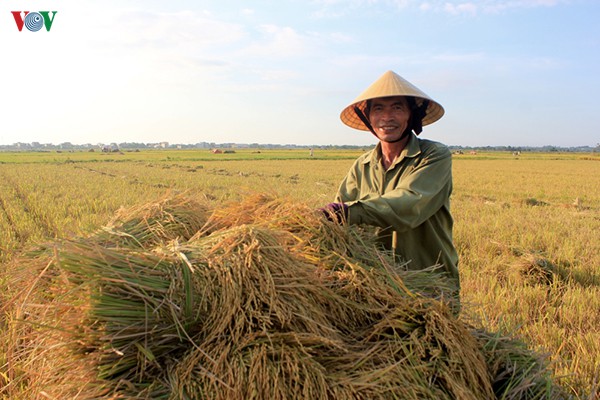 “Luồng gió mới” từ Đại Phong