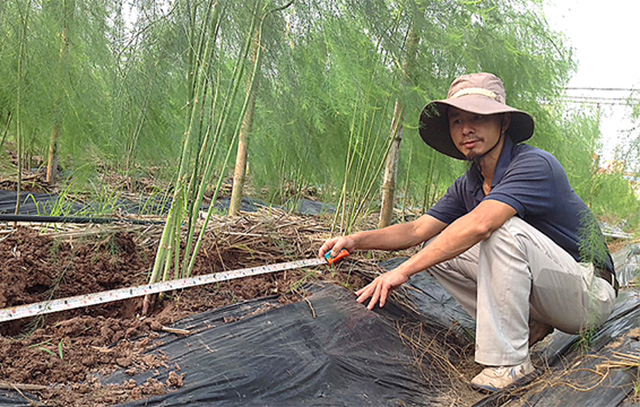 'Bỏ phố về làng' làm nông nghiệp công nghệ cao