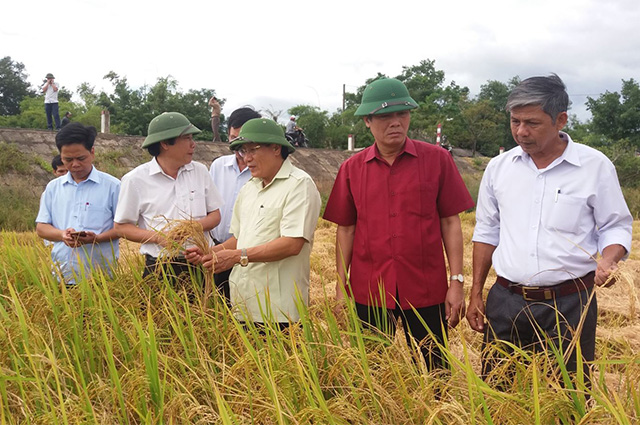Nâng cao vai trò HTX trong tái cơ cấu nông nghiệp