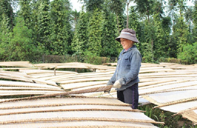 Đầu tư lớn để nâng tầm sản phẩm địa phương