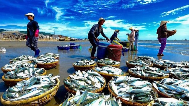 Xuất khẩu hải sản sẽ đem về 3,3 tỷ USD trong 2020
