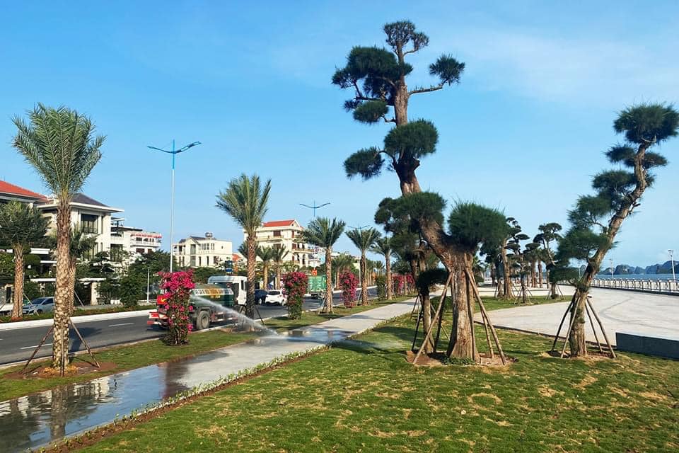 Người nước ngoài không thuộc đối tượng sở hữu sử dụng đất ở Việt Nam