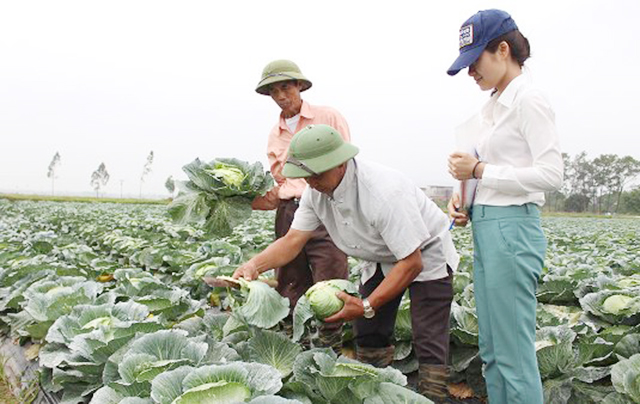 Bắc Ninh: Thành công từ đổi mới thực chất hoạt động HTX