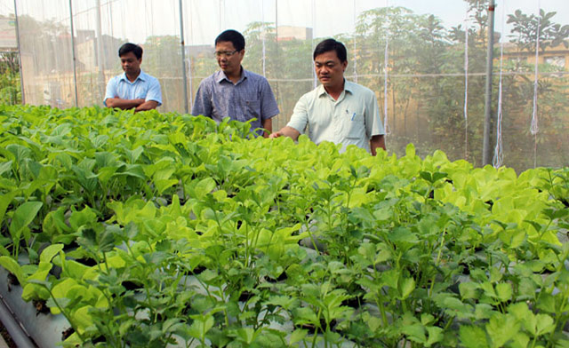 Bắc Giang: Nông sản thuận đầu ra nhờ HTX liên kết sản xuất