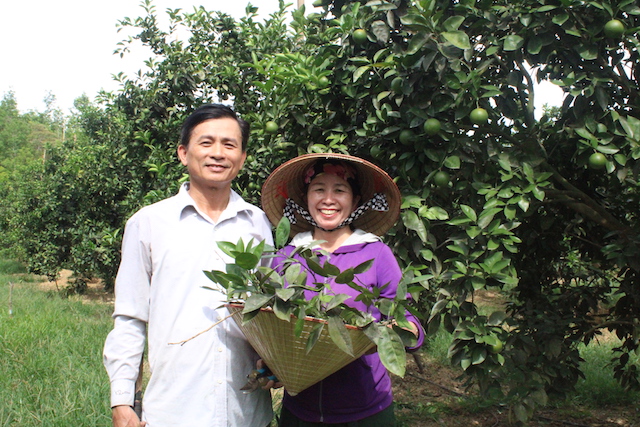 Can Lộc thay đổi nhờ sự 'bứt lên' của các Hợp tác xã