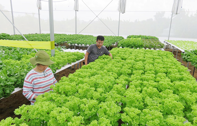 Long An: Đòn bẩy từ nông nghiệp công nghệ cao