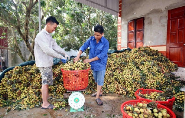 Hưng Yên tăng tốc về đích tỉnh nông thôn mới