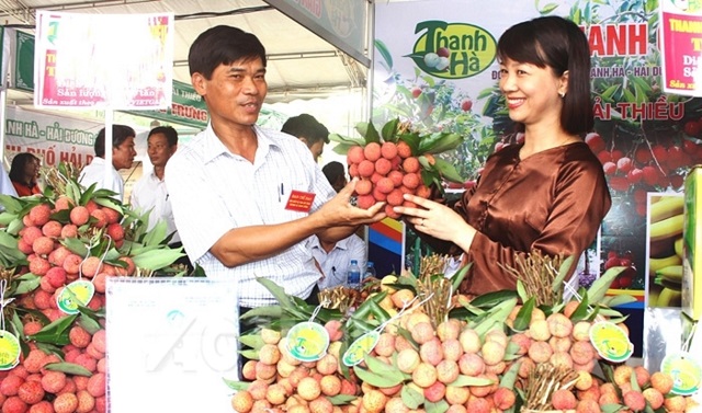 Hải Dương xuất khẩu lô vải thiều đầu tiên năm 2020