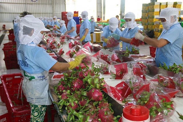 Sẽ tổ chức 8-10 sự kiện giao thương trực tuyến với Trung Quốc