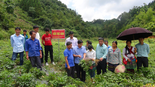 dao-tao-nghe-cho-lao-dong-nong-2381-2799