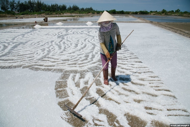 Nâng giá trị hạt muối Cần Giờ