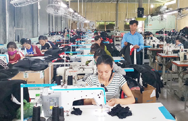 Thành lập HTX để phát triển sản xuất