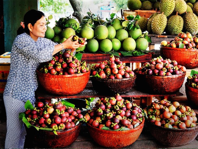 'Chắp cánh' cho măng cụt Lái Thiêu xuất ngoại