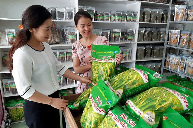 Điện Biên: Phát triển HTX để giảm nghèo bền vững