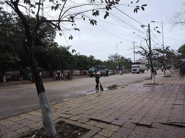 Đẹp nhà, sạch phố nhờ... HTX của cựu chiến binh