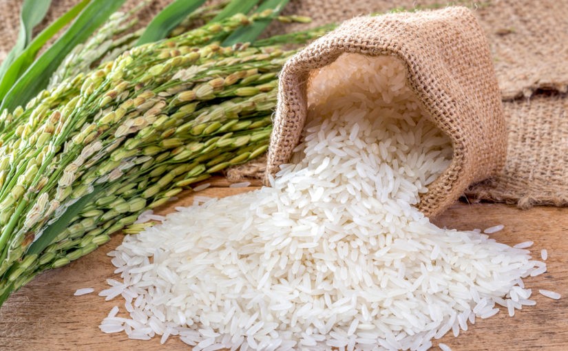 Tín hiệu 'sáng' từ gạo sạch