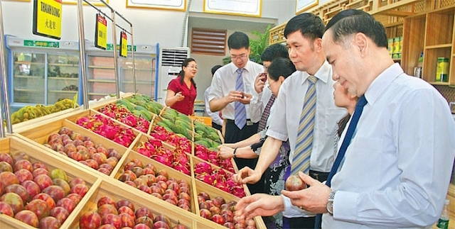 Xuất siêu 3,3 tỷ USD, nông sản tiếp tục 'khai hoang' thị trường mới