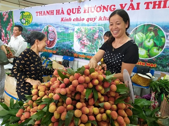 Vải ngon Thanh Hà cho người Hà Nội