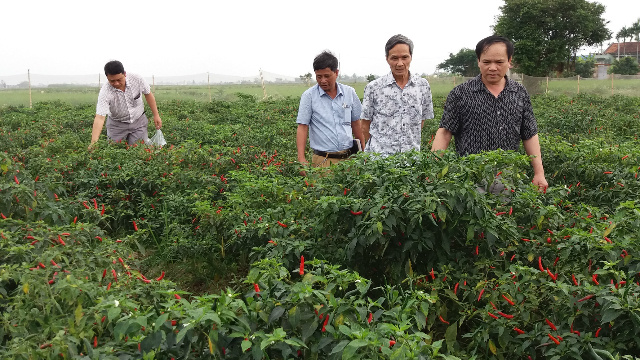 Lanh-dao-Lien-minh-HTX-va-Doan-4174-9785