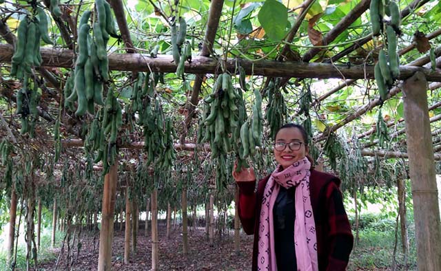 Bắc Kạn: Nâng cao vai trò của kinh tế hợp tác, HTX trong phát triển kinh tế