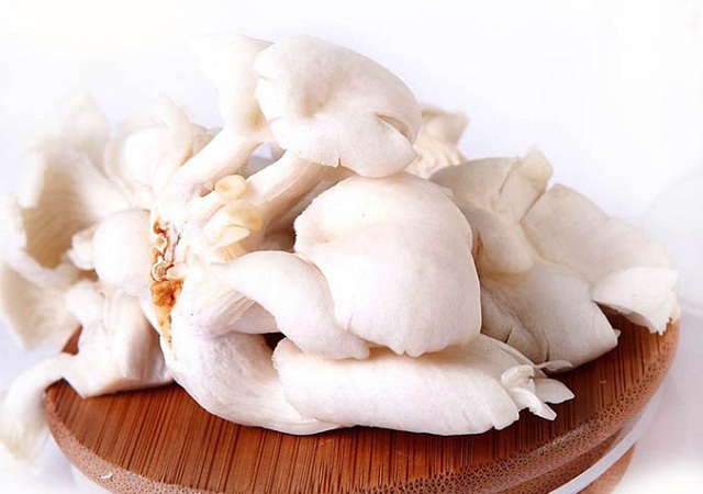 Thổi bùng ngọn lửa khởi nghiệp trên quê hương Tiên Phước