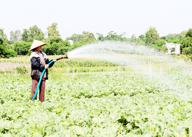 Những bước tiến in đậm dấu ấn NTM mới ở Hưng Khánh Trung B