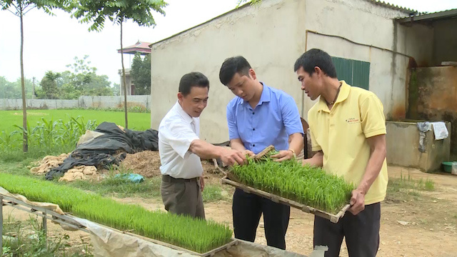 day-manh-chuyen-doi-mo-hinh-HT-5883-3784