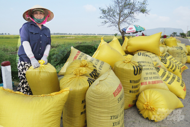 Liên kết chuỗi mang lại 'mùa vàng' bội thu