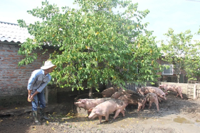 HTX-Sieu-Viet-9548-1591323380.jpg