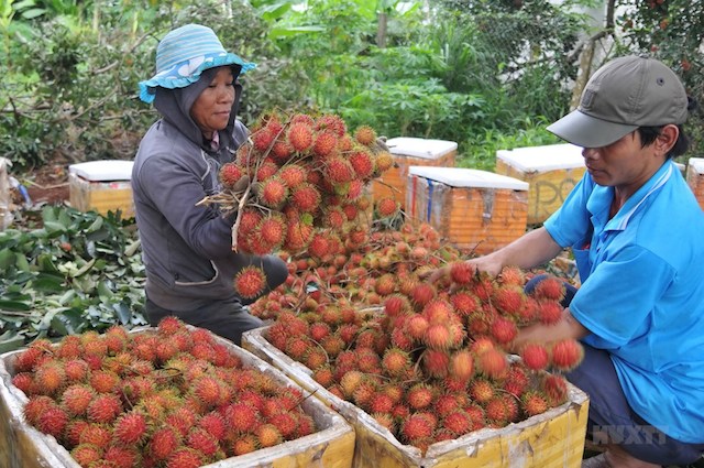 Để xã nông thôn mới Xuân Thiện là nơi đáng sống