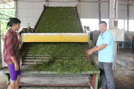 HTX Tuấn Băng: sản xuất gắn liền với an toàn lao động