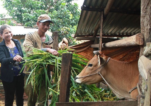 Nong-thon-moi-Cu-Hue-6023-1591584447.jpg