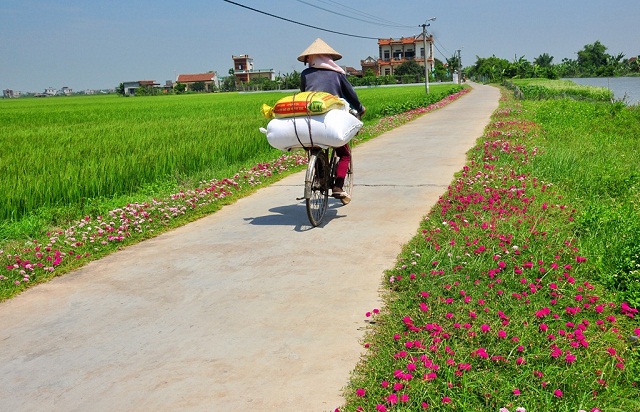 HTX đi đầu trong xây dựng nông thôn mới ở Trường Xuân