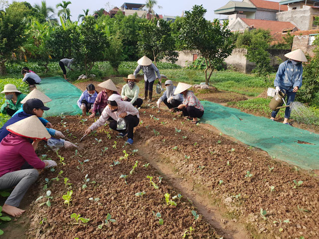 Hà Nội nâng chất đào tạo nghề cho lao động nông thôn