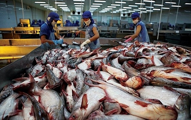 Xuất khẩu cá tra giảm tới 39%