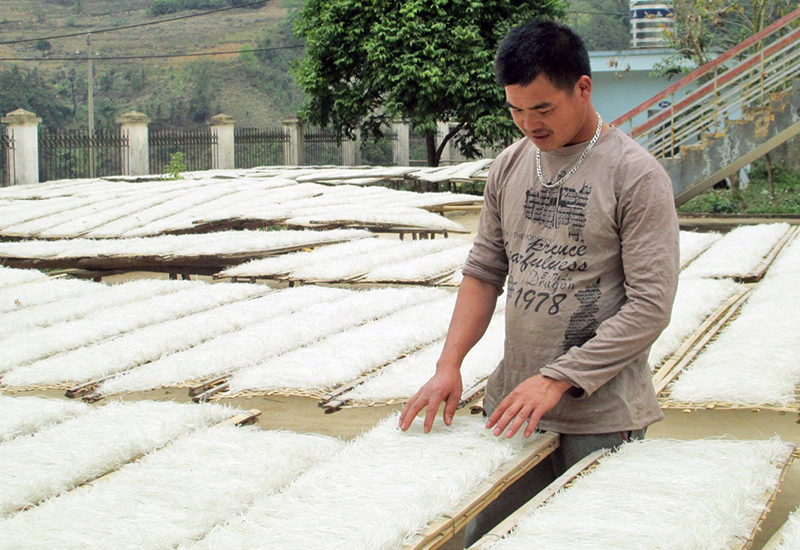 Húc Động thoát nghèo nhờ... Miến
