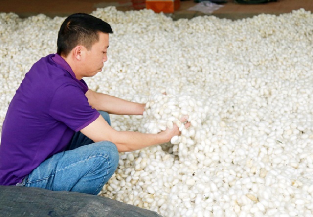 Việt Tiến nâng tầm nông thôn mới