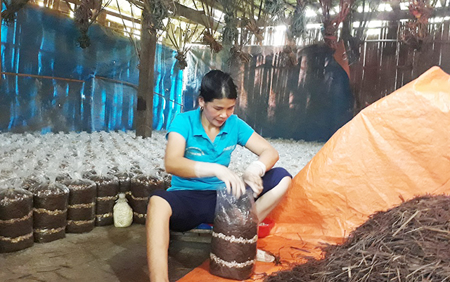 Những mô hình 'đuổi nghèo' ở Ngân Sơn
