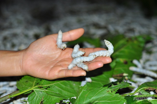 Điểm nhấn nông thôn mới ở Hòa Cuông