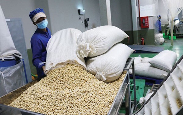 Xuất khẩu hạt điều khó khăn vì thị trường lớn giảm mua