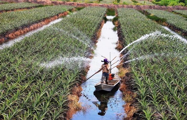 Bàu Bàng hướng đến đạt chuẩn huyện nông thôn mới