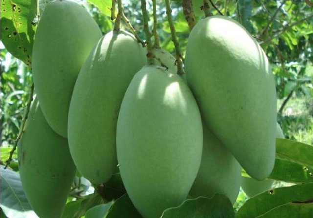 Lợi đôi đường từ sản xuất an toàn, có trách nhiệm
