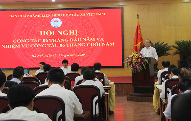 Quang-canh-hoi-nghi-5690-1592221380.jpg